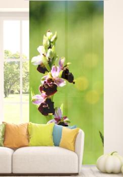 Orchideenzauber, Schiebegardine, Flächenvorhang Set, blickdicht,